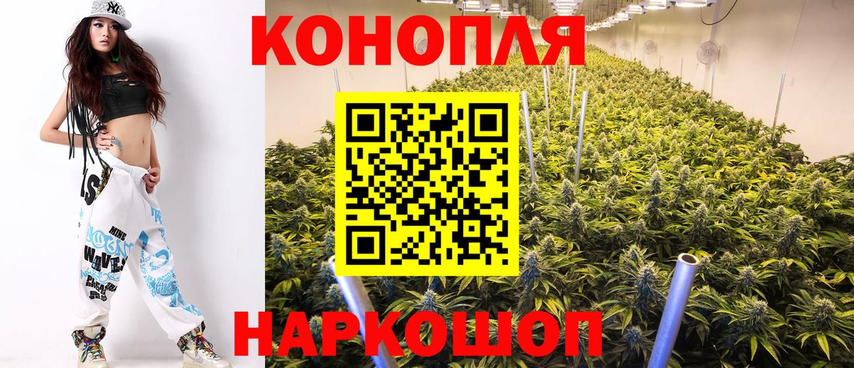 Конопля план Конаково
